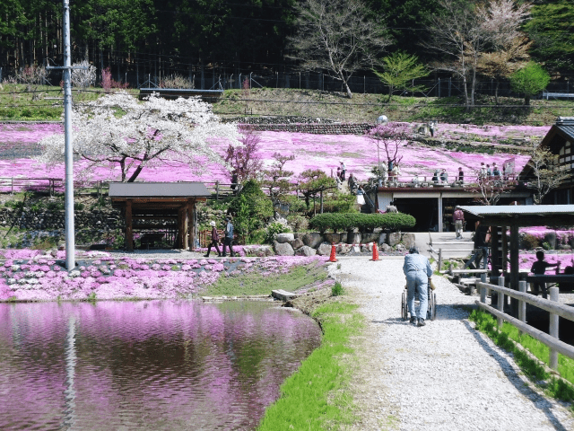 アンケート回答が私の日課!座談会の謝礼で親孝行!