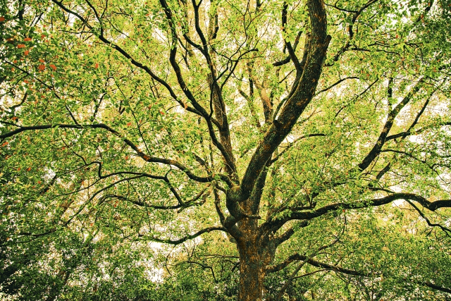 テーマパークのような座談会