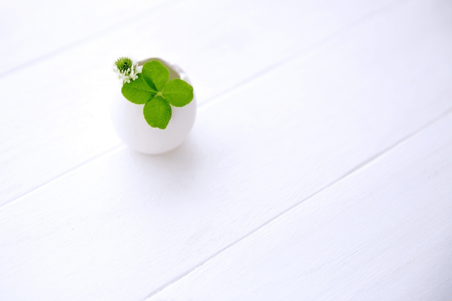 丁寧に回答すると棚からぼた餅が！！