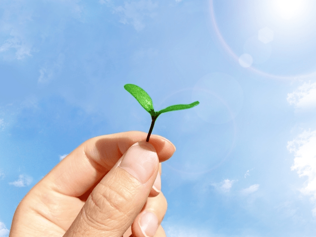 好きなお菓子を試食する商品モニターって難しそうかな？