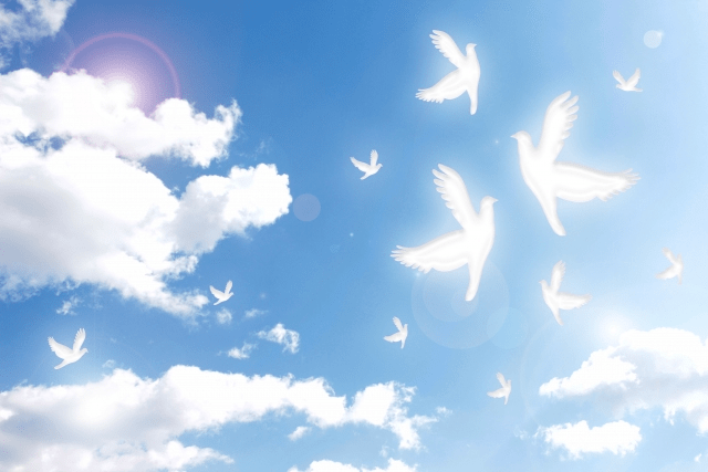 最初の緊張はどこへやら？大事な注意点とは！？