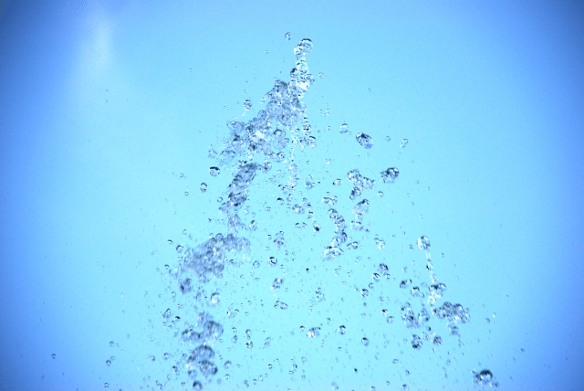 次世代への伝承