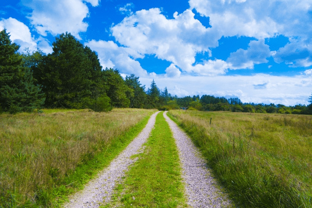 新たに開かれた親子の道