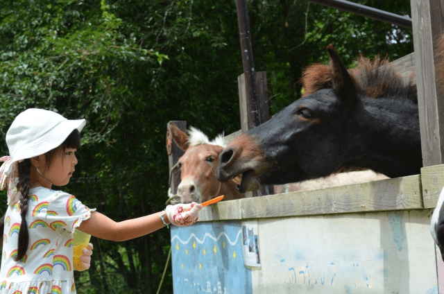 アンケートサイトの高額当選なんて登録のエサ！？