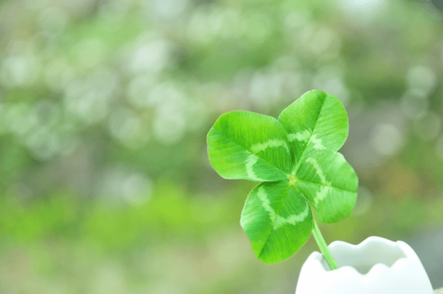 少し幸せになるアンケート