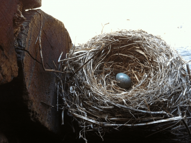 異なる感性を持った私