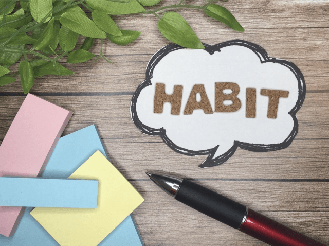 アンケートが私の毎日の日課♪