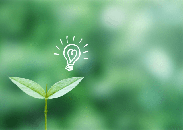 努力の大切さを考え、新しい発見も！