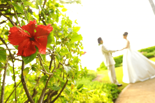 D style webは夢を叶える為の仕事、次の夢は更に大きく