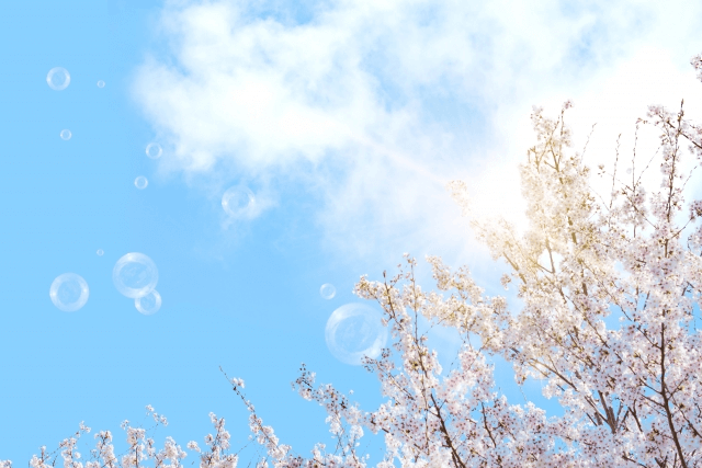 私が感じる座談会参加の魅力とは!?多くの出会いと学び