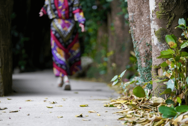 アンケート回答が自分の人生につながる？D style webの可能性