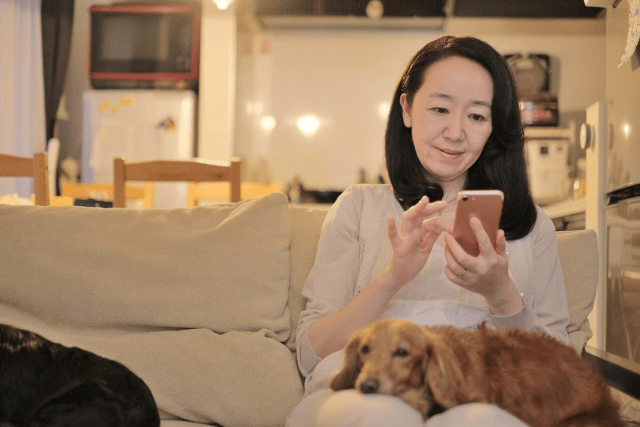 ポイ活で出会ったアンケートサイト！パート＆案件で〇刀流