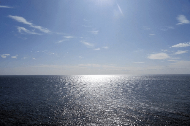 還暦を迎えた新たな人生の冒険！アンケートと座談会で自己表現を楽しむ