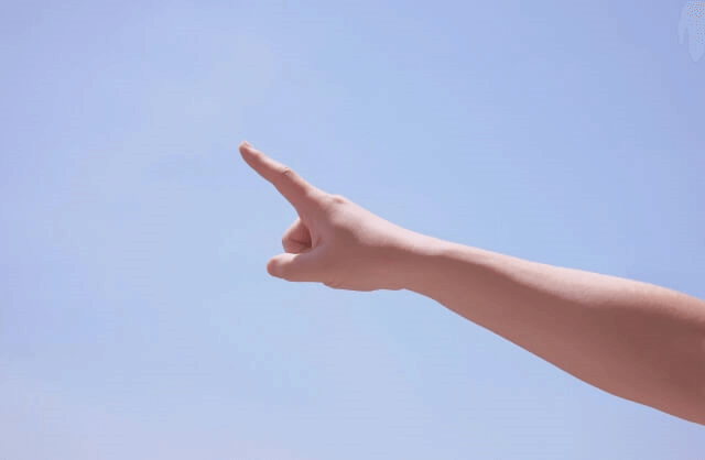 アンケート回答を通じて見つけた「生きがい」！？ポイント以上の価値とは？